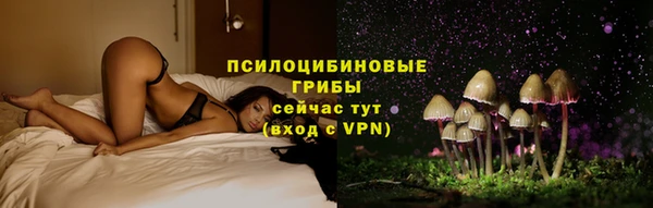 мяу мяу кристалл Покачи