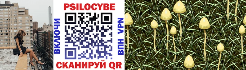 цены наркотик  hydra ссылка  Псилоцибиновые грибы Magic Shrooms  Отрадный 